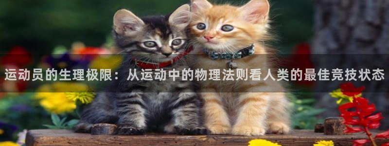 谈球吧体育