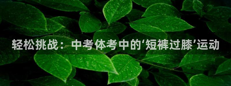谈球吧体育官网