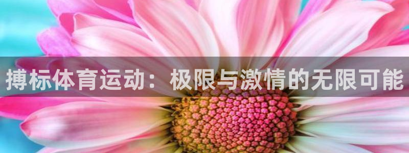 谈球吧体育官网