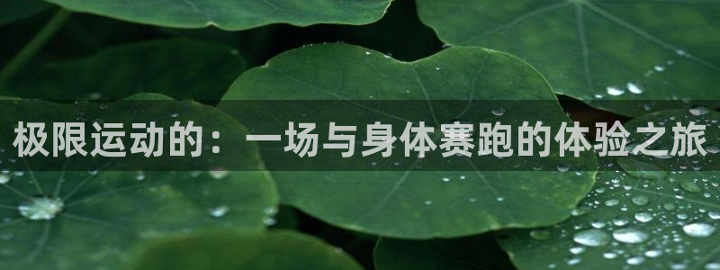 谈球吧