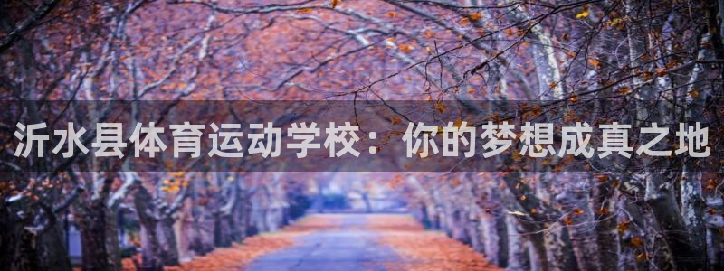 谈球吧