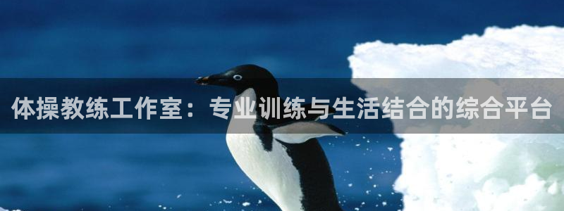 谈球吧体育官网