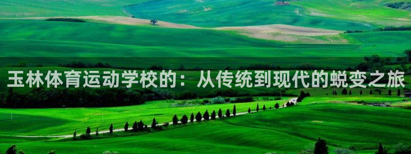 谈球吧
