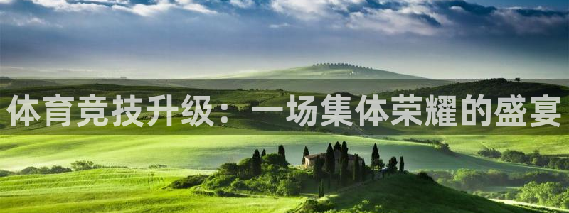 谈球吧