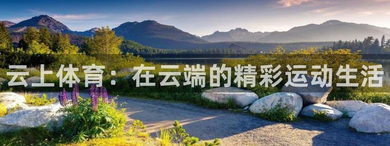 谈球吧体育官网